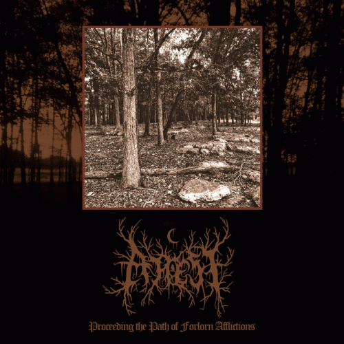 Attest : Proceeding the Path of Forlorn Afflictions